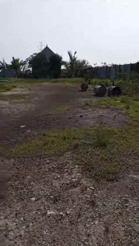 dijual tanah murah di wedoroanom driyorejo gresik