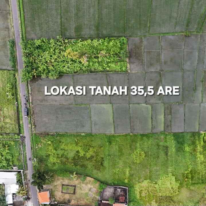 dijual tanah pantai kelating