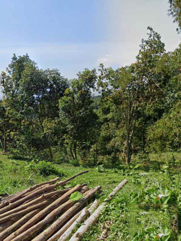 dijual tanah panyireupan