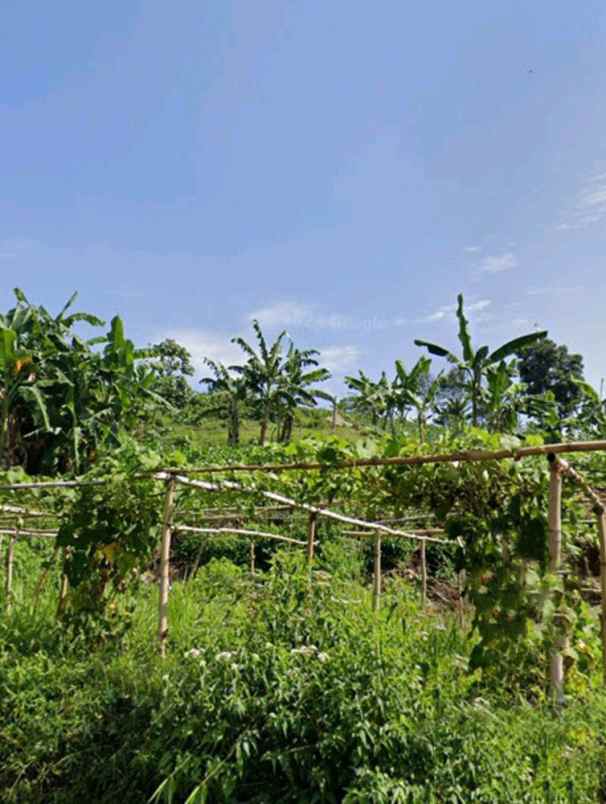 dijual tanah panyireupan