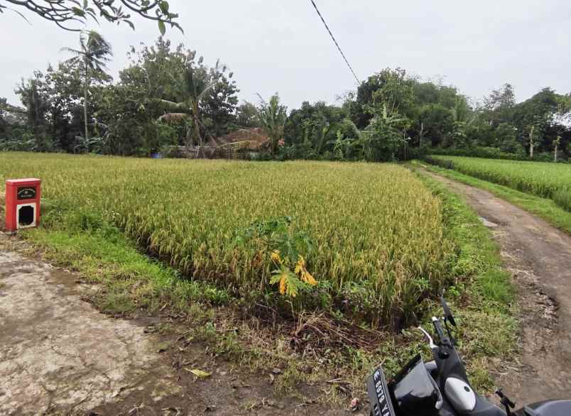 dijual tanah sawah produktif akses jl mobil