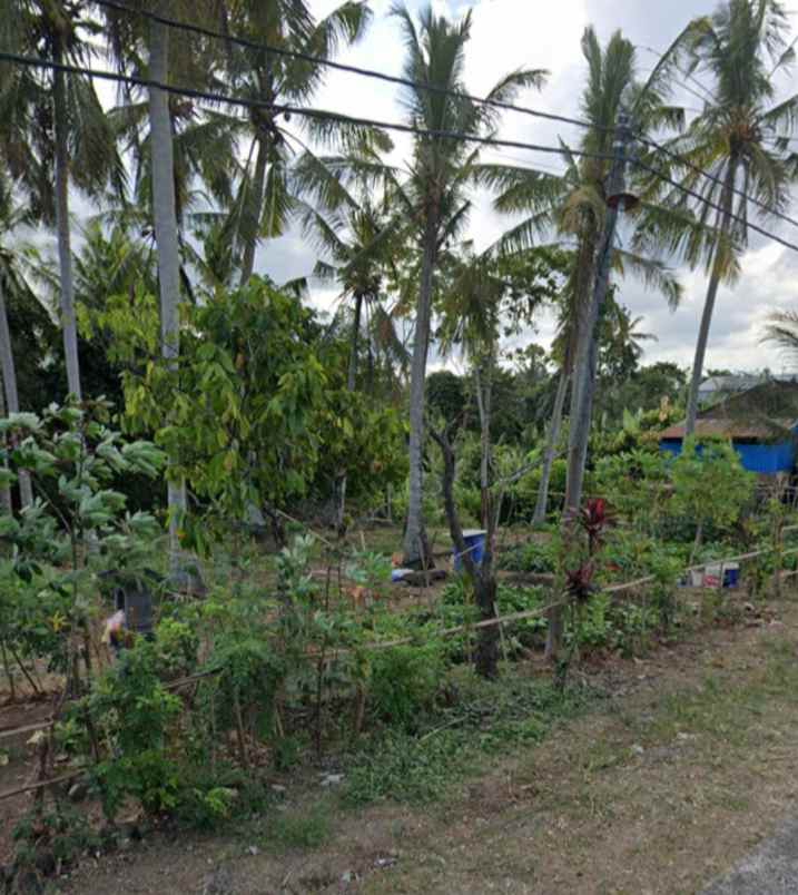 dijual tanah selemadeg timur tabanan bali