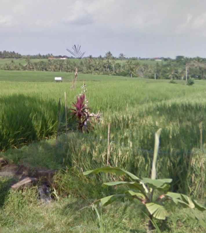 dijual tanah selemadeg timur tabanan bali