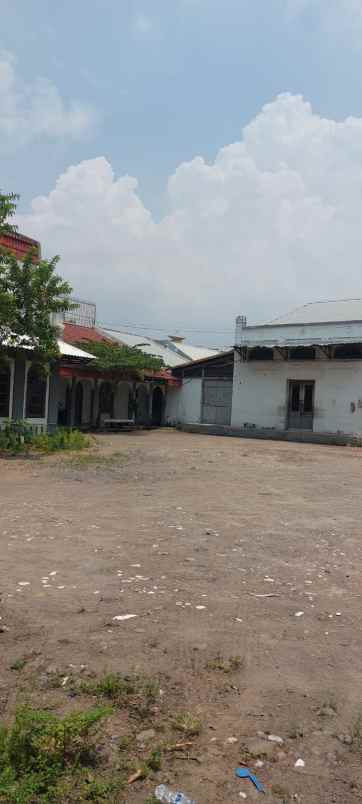 dijual tanah semut