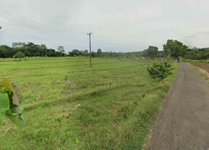 dijual tanah strategis pinggir jalan desa