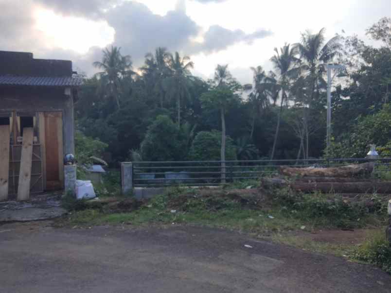 dijual tanah sudah ada kolam dan ada kebun nya