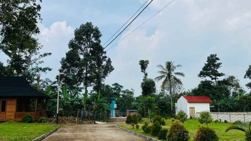 dijual tanah sukamakmur bogor