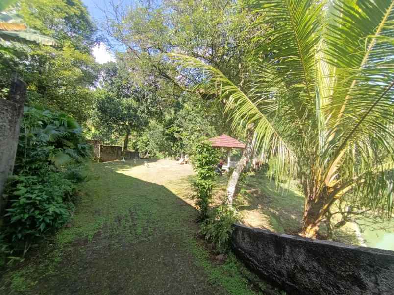 dijual tanah tajur halang cijeruk