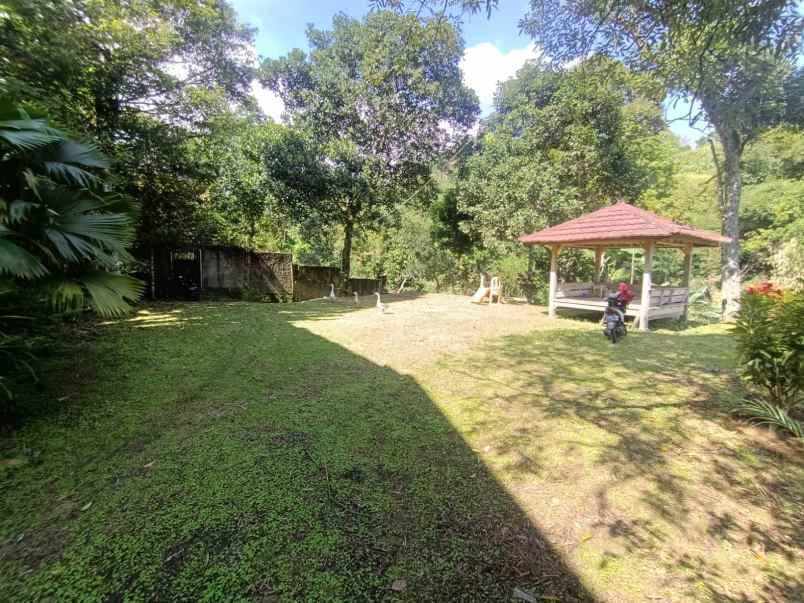 dijual tanah tajur halang cijeruk