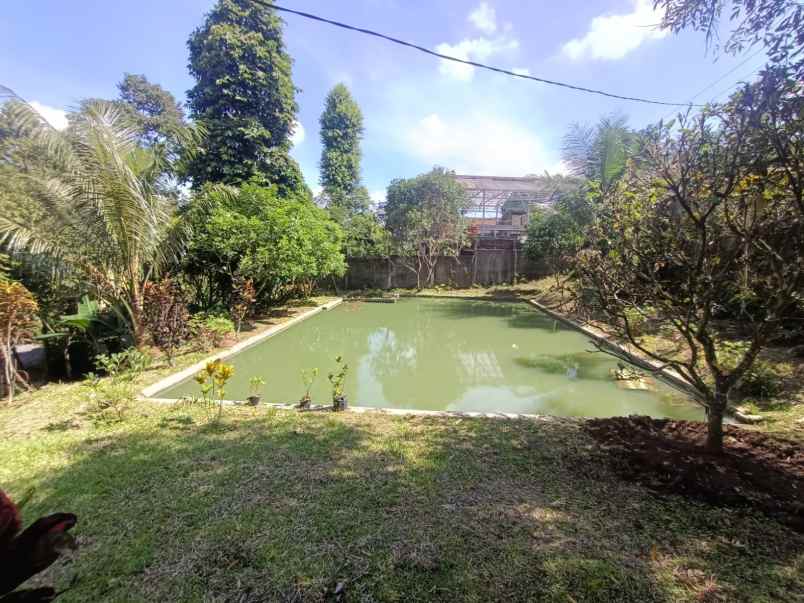 dijual tanah tajur halang cijeruk