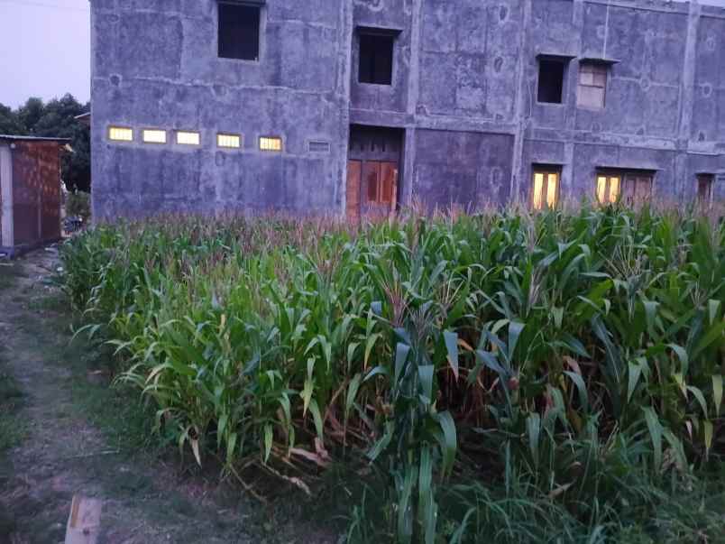 dijual tanah untuk kos kosan atau perumahan