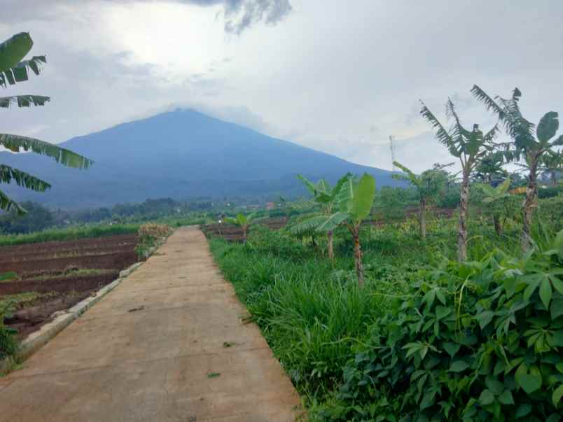 dijual tanah view gunung udara sejuk
