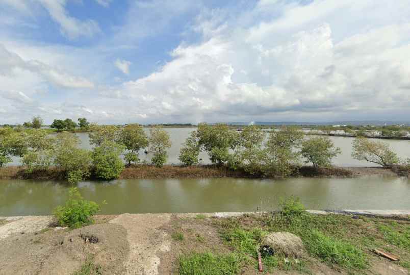 dijual tanah wonorejo kec kaliwungu kab