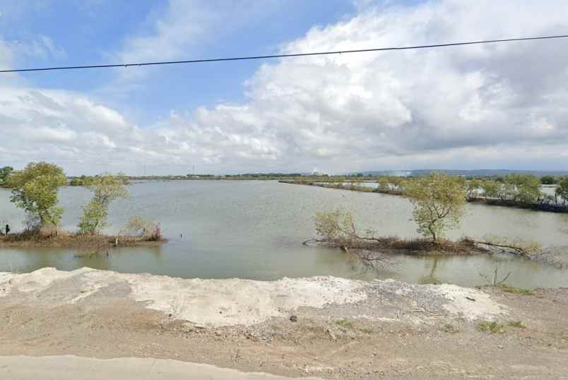 dijual tanah wonorejo kec kaliwungu kab