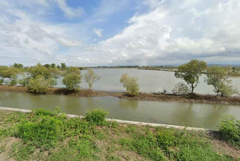 dijual tanah wonorejo kec kaliwungu kab