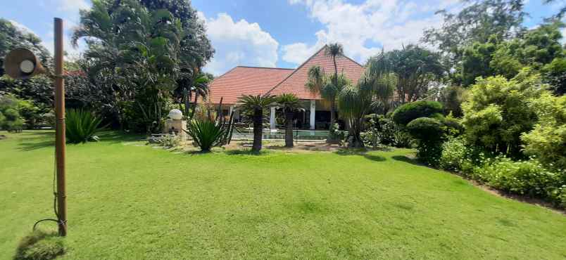 dijual vila dgn pasilitas modern di lovina