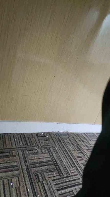 disewakan rumah lebak bulus