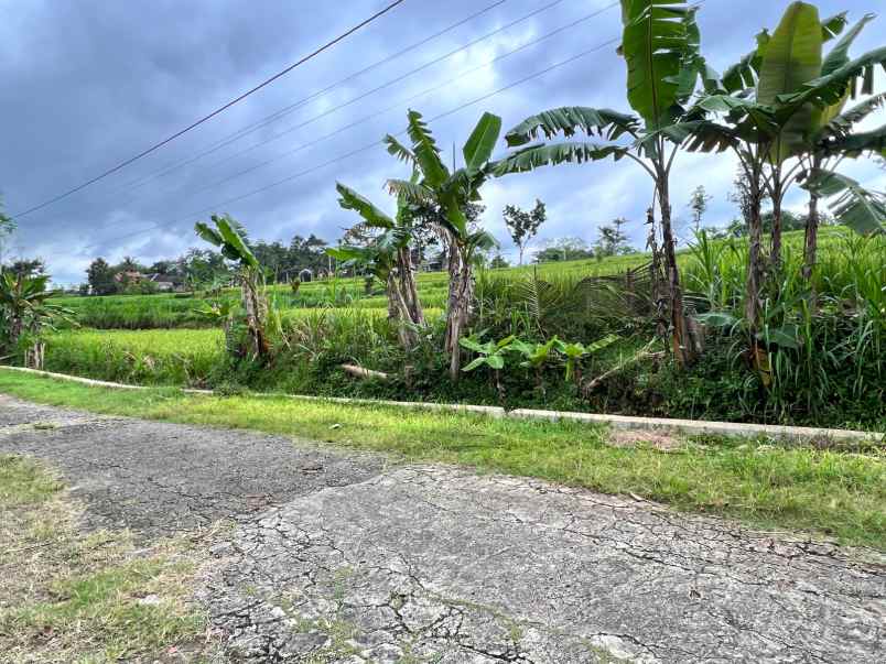 jual cepat rumah joglo mojogedang karanganyar