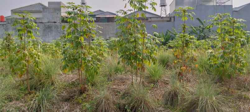 jual tanah kavling di moderland tangerang