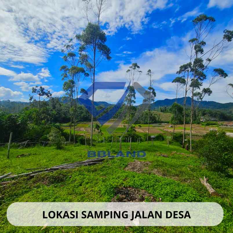 jual tanah murah di ciwidey