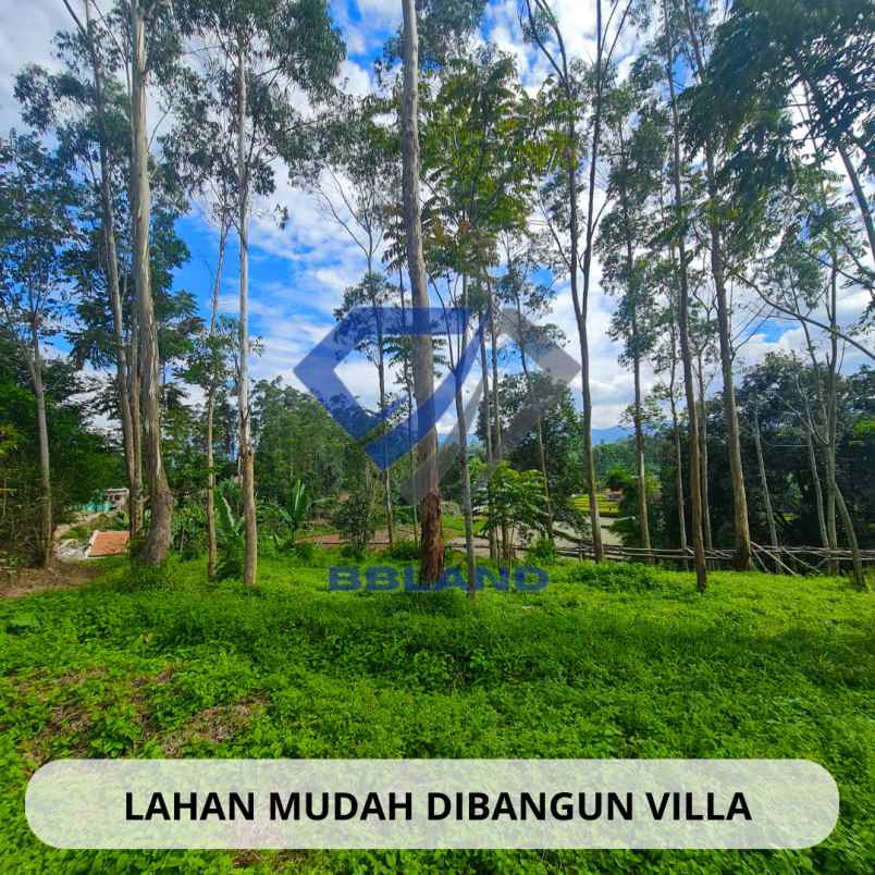 jual tanah murah di ciwidey