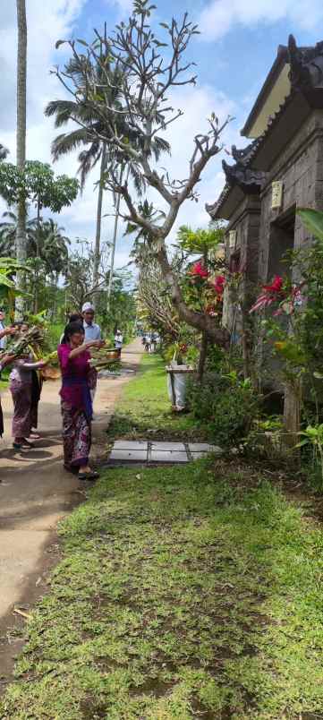 jual villa baru ubud bali