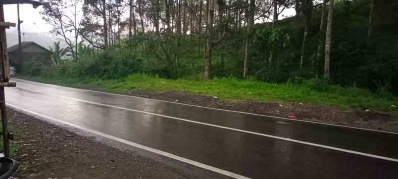 lahan kebun 95 h sukabumi