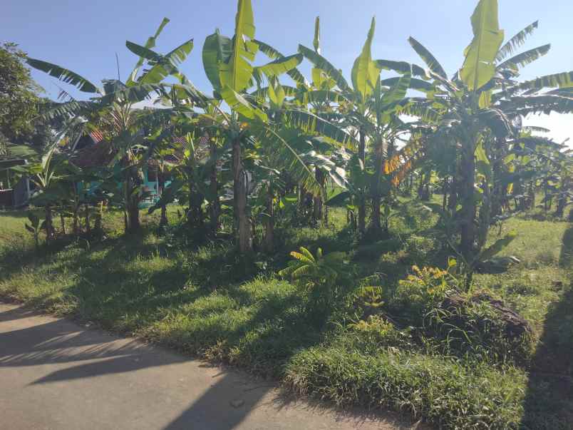 lokasi pinggir jl akses mobil lingkungan penduduk