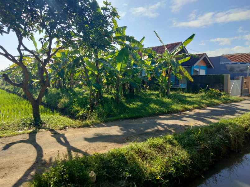lokasi pinggir jl akses mobil lingkungan penduduk