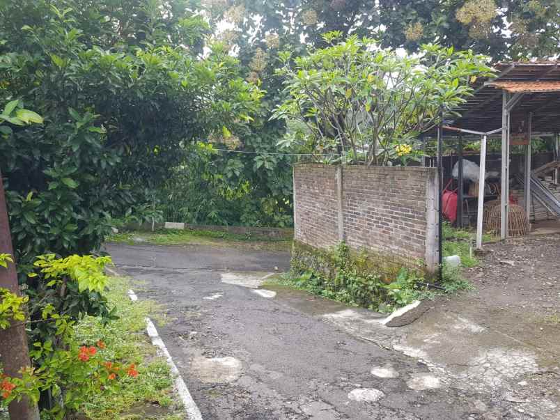 rumah 2 kavling di pundak payung semarang