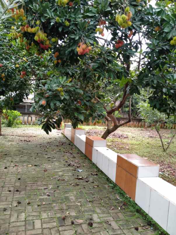 rumah cinyosog pasir angin