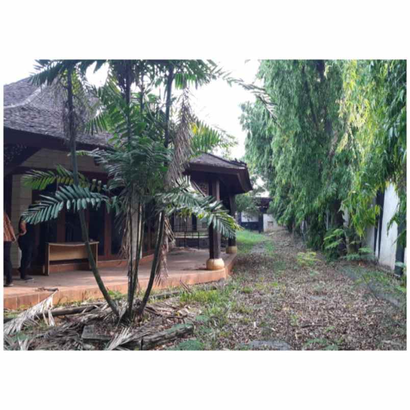 rumah jl masjid as saadah salih