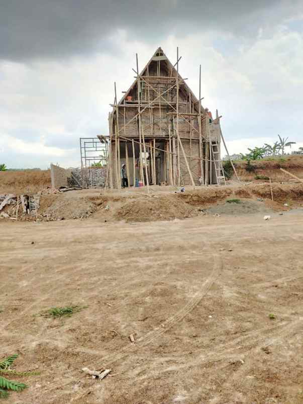 rumah jl untung suropati