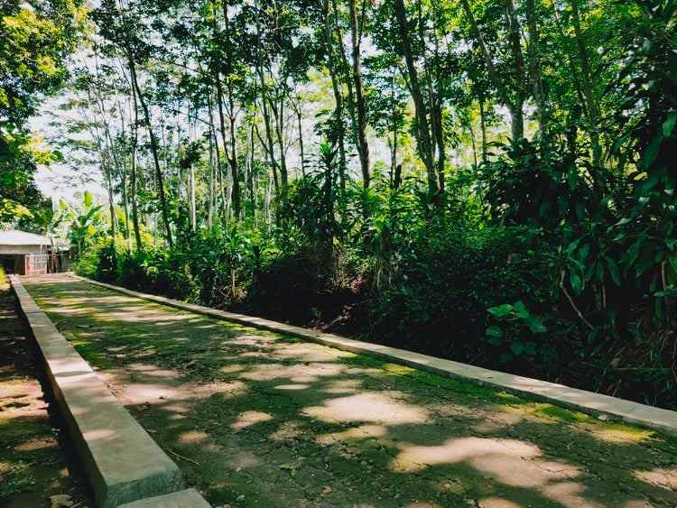 rumah mojogedang karanganyar