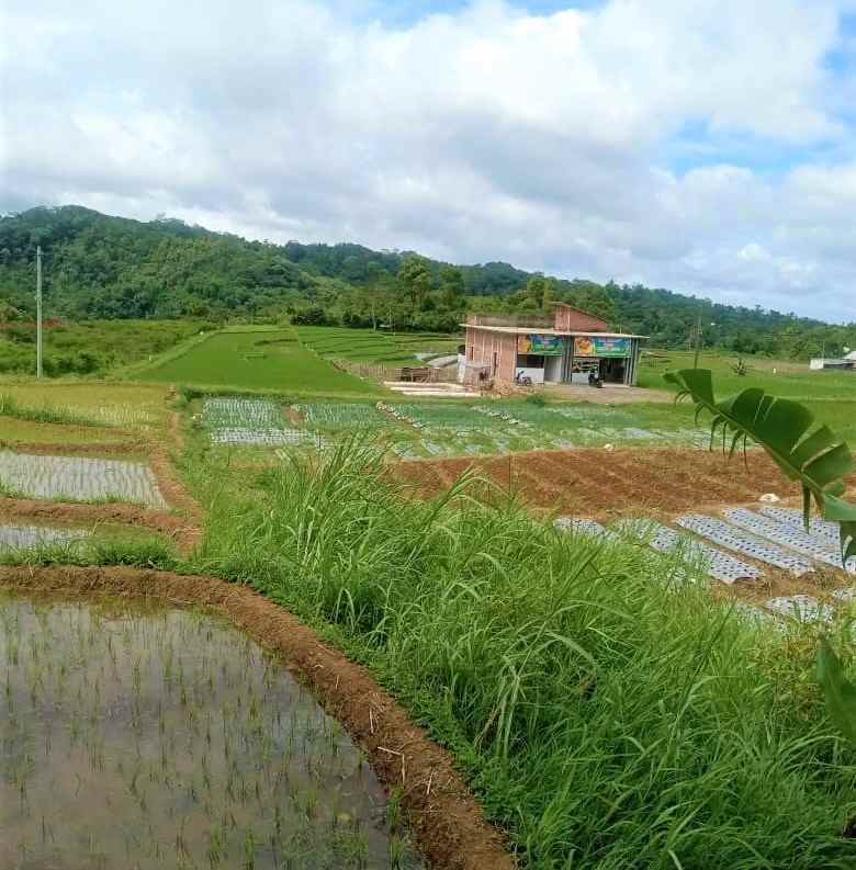 rumah siap huni jl raya solo tawangmangu karanganyar