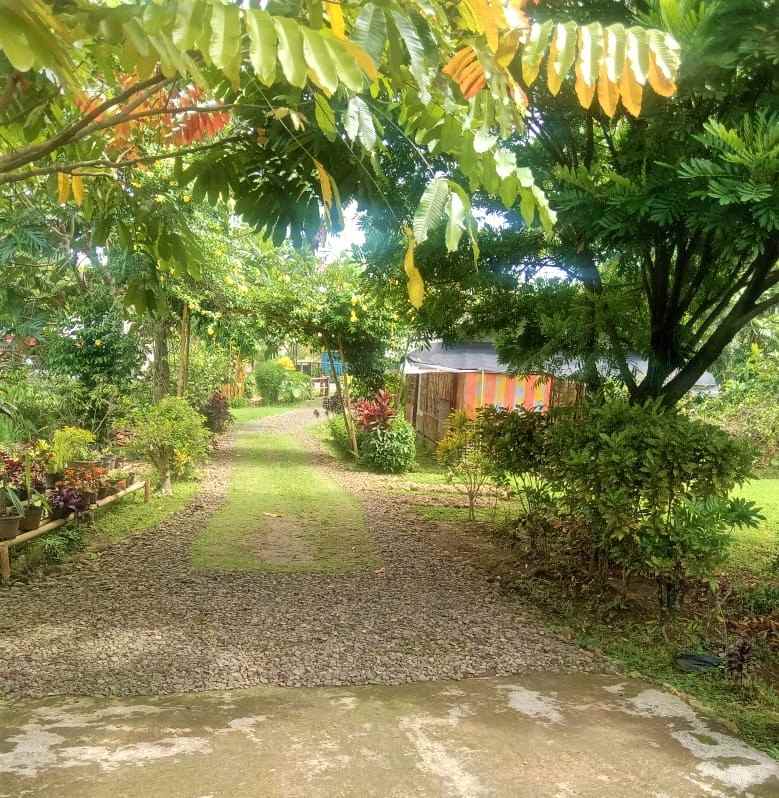 rumah siap huni jl raya solo tawangmangu karanganyar