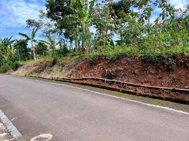 tanah 1 5 hektar jalan aspal kerjo karanganyar