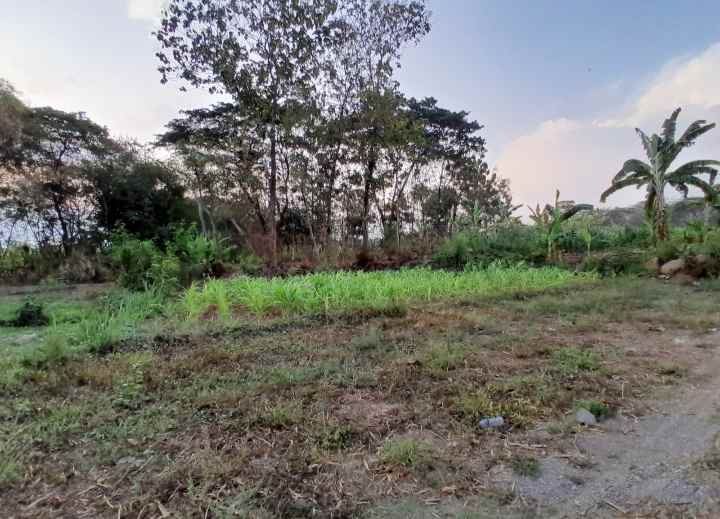 tanah ada sumber air 2000m2 diponggok klaten 1 1 m