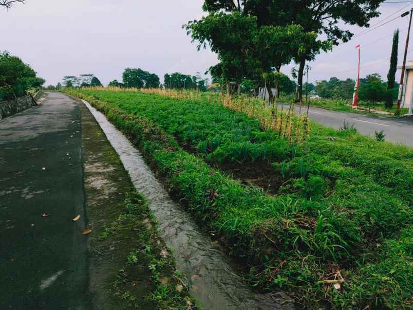 tanah barat kantor kecamatan