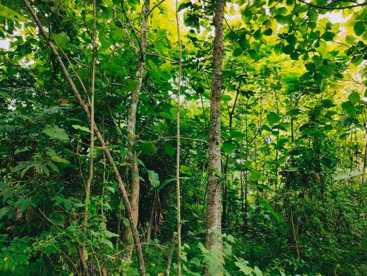 tanah barat kantor kecamatan