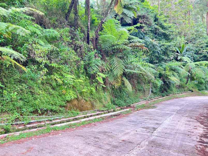 tanah bonus villa 1750m kemuning karanganyar