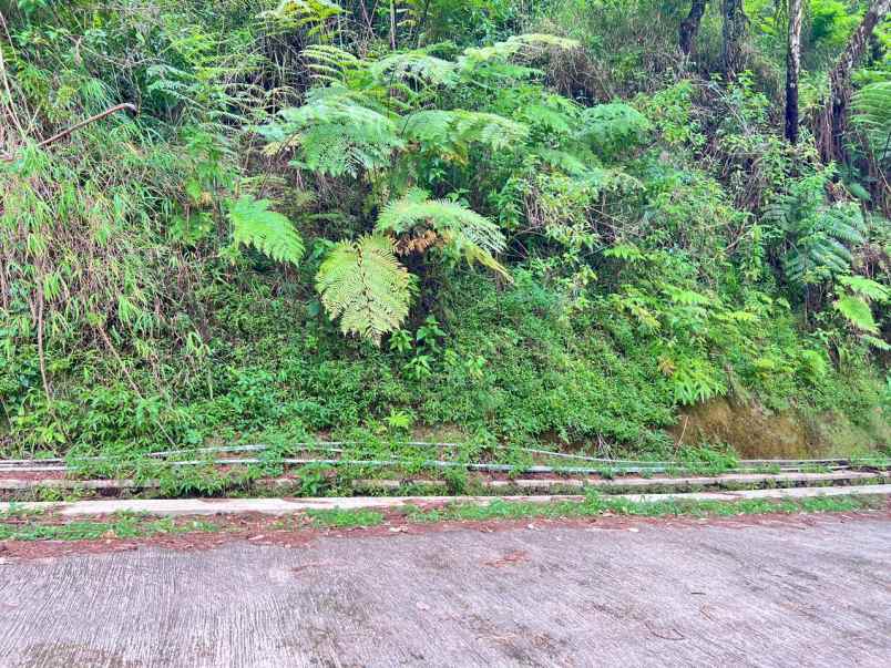 tanah bonus villa 1750m kemuning karanganyar