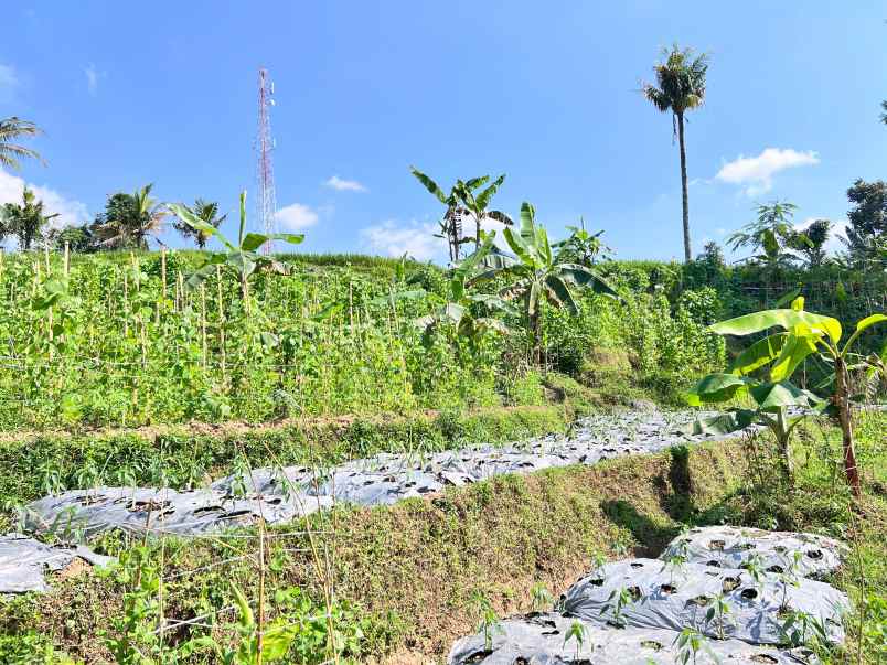 tanah idaman 750m dekat sungai pegunungan karanganyar