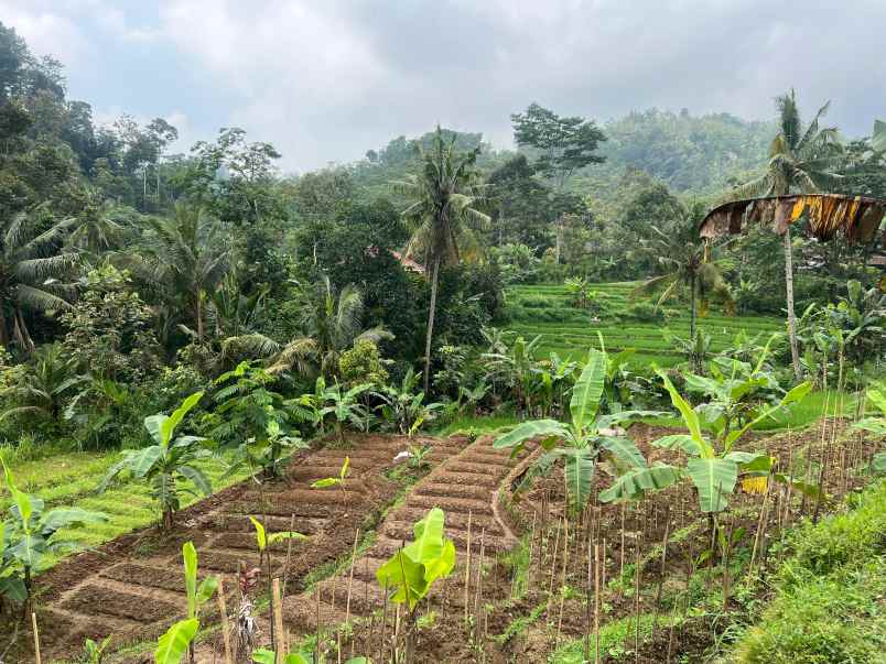 tanah idaman 750m dekat sungai pegunungan karanganyar