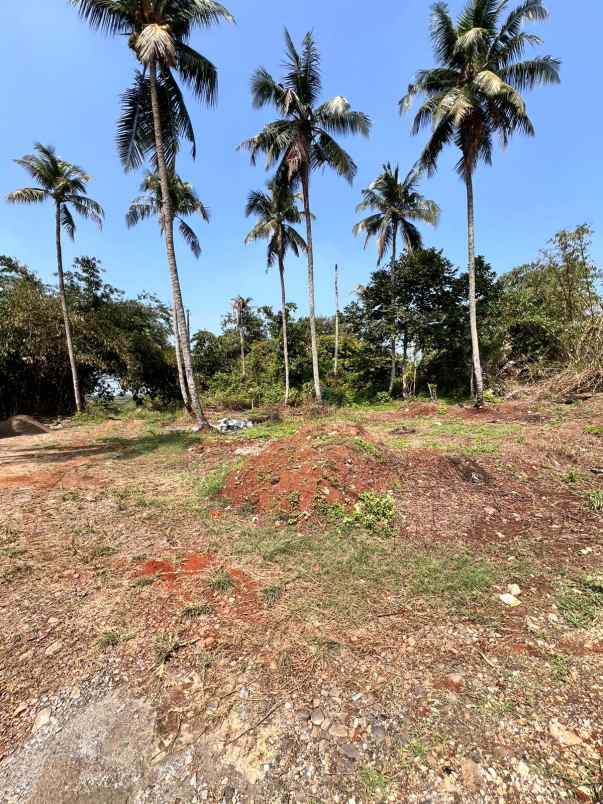 tanah kavling 10 hektar di taman sari rumpin kab bogor