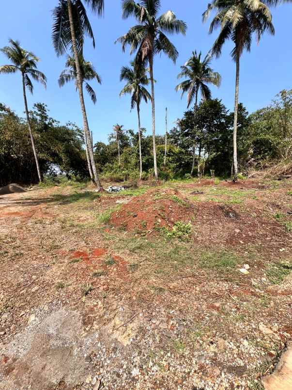tanah kavling 10 hektar di taman sari rumpin kab bogor