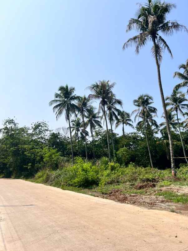 tanah kavling 10 hektar di taman sari rumpin kab bogor