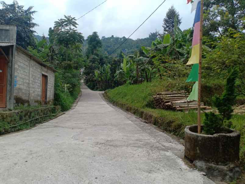 tanah kemuning ngargoyoso