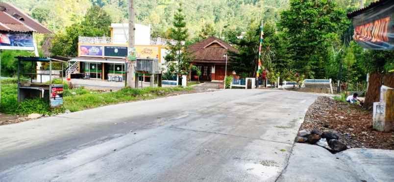 tanah kemuning ngargoyoso