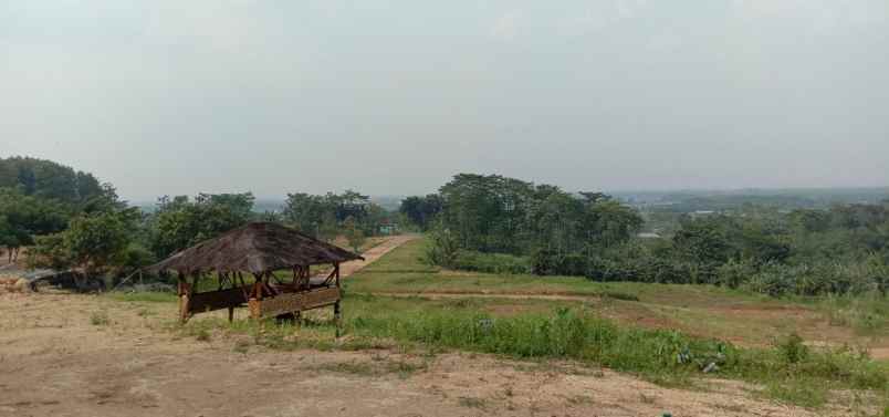 tanah klapanunggal jonggol